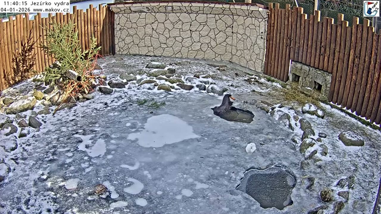 Matýsek a koupel s mrkvičkou