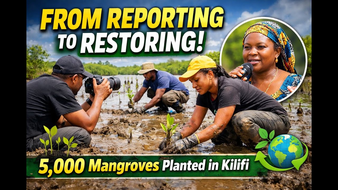From Reporting to Restoring: Journalists Plant 5,000 Mangroves in Kilifi