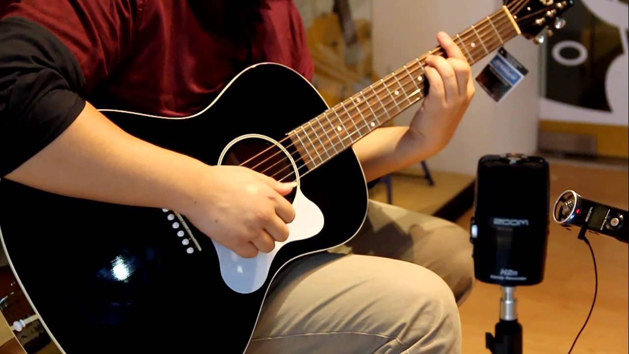 H.M. Blues : The Loar LO16 BK