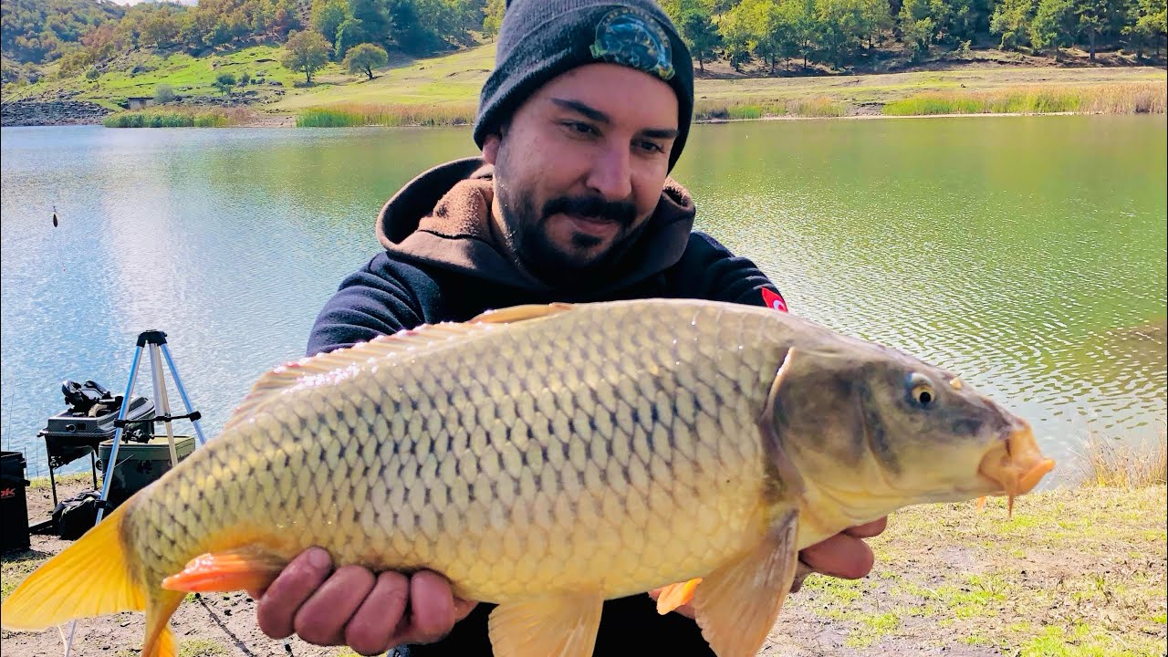Sazan Avı En Huzurlu Anlar - Saatler Süren Sessizlikten Sonra Gelen Sazan - Soru&Cevap 