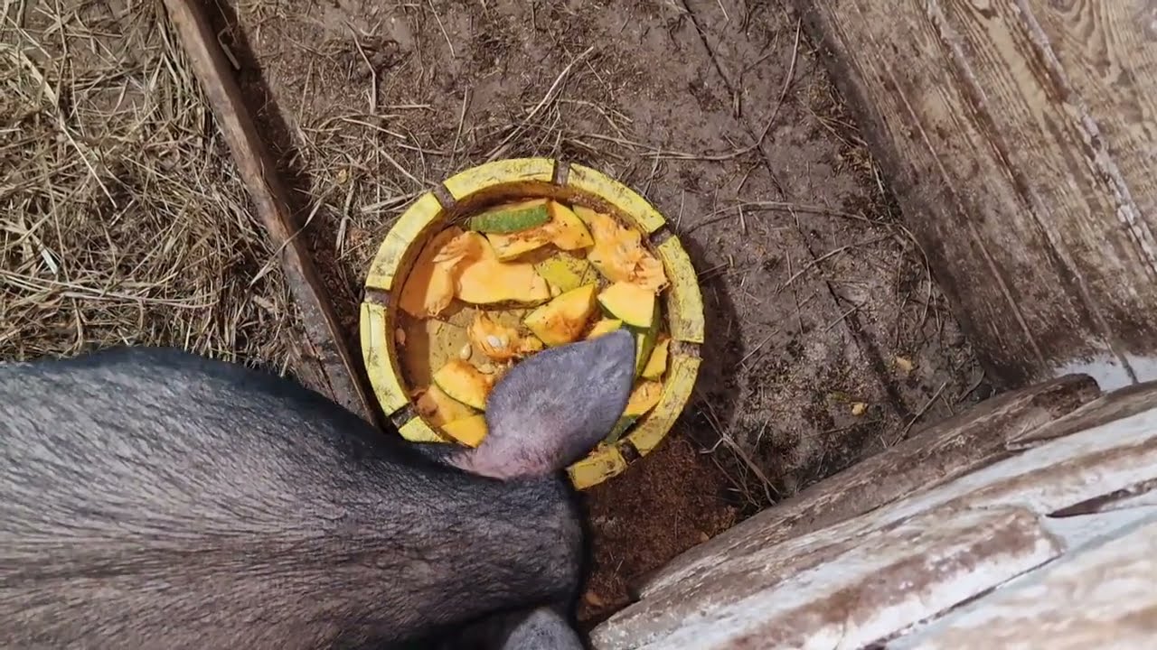 Пепа и её  свита