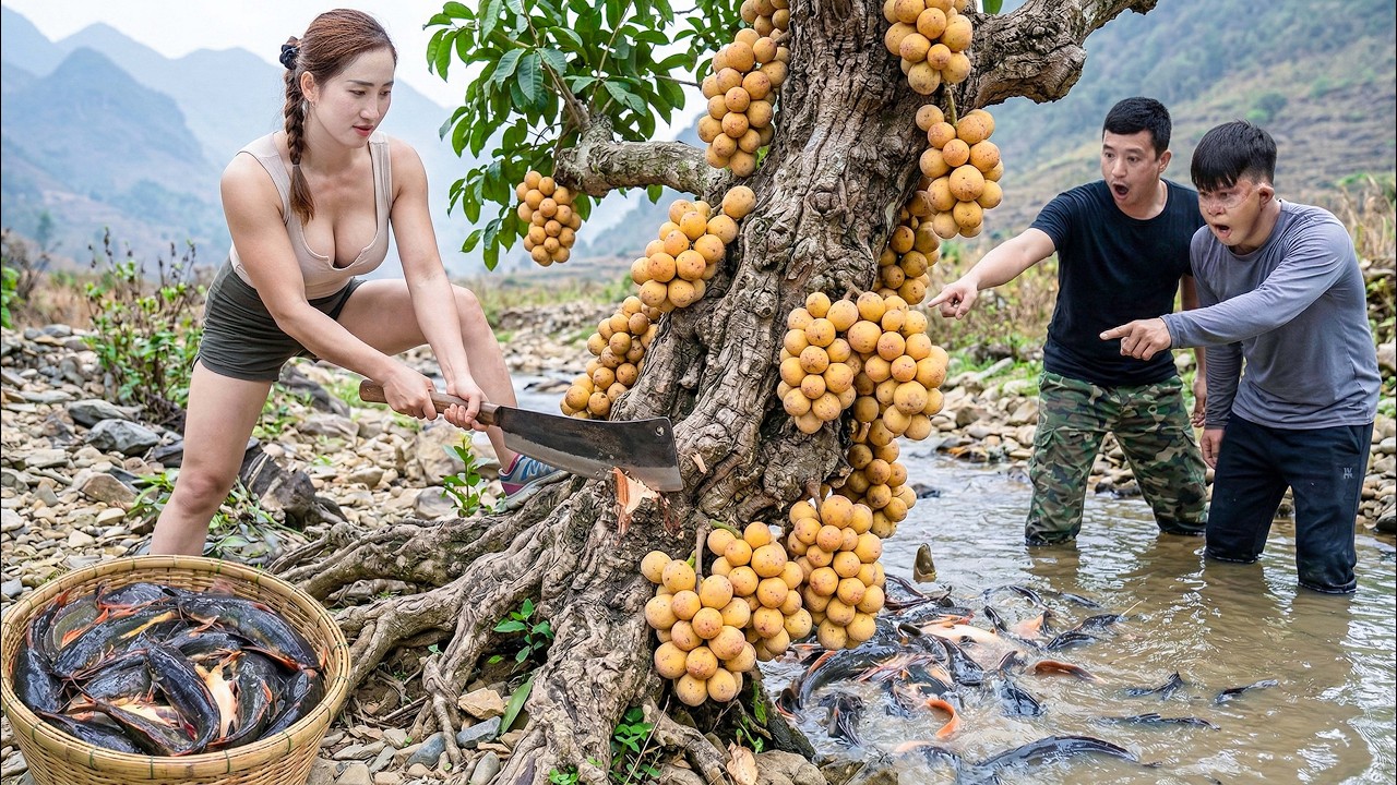 Harvesting 1000+ Rare Mango Plum Fruits to Sell | Giant Catfish Explode From the Water
