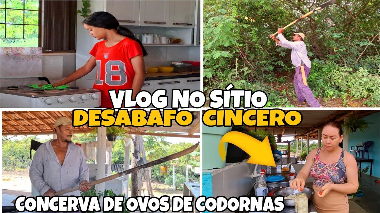 CONVESA CINCERA DESABAFO CONTEI TUDO * COMO está seu Manoel?