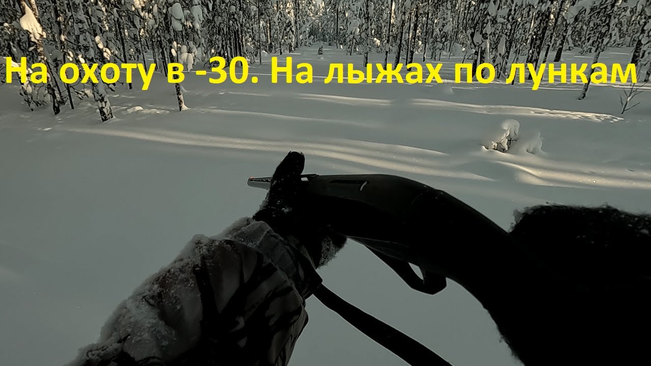 В лес на лыжах в - 30 . Охота с лунок.