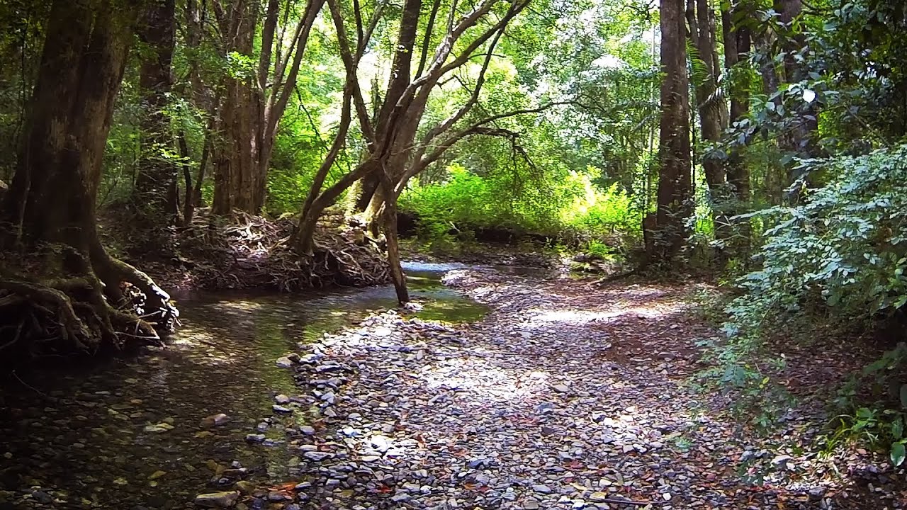 Promised Land, Never Never Creek, Bellingen, NSW