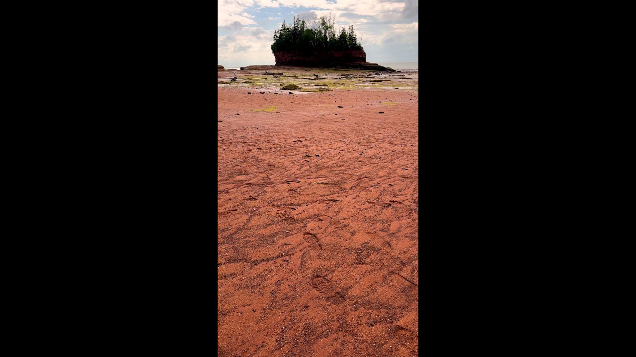 East Coast - One Of The Rarest Canadian Animals Under Your Feet