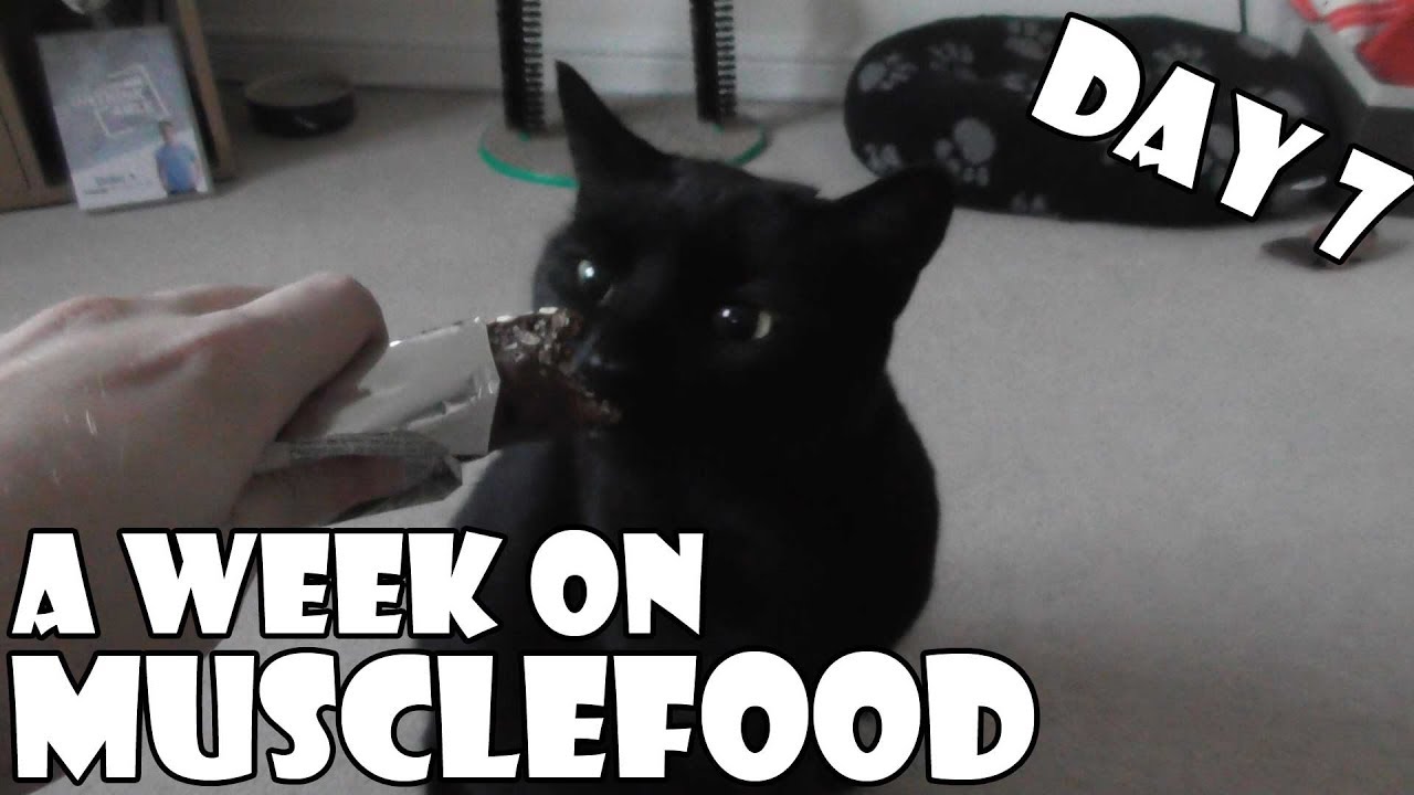 A Week On Musclefood DAY 7
