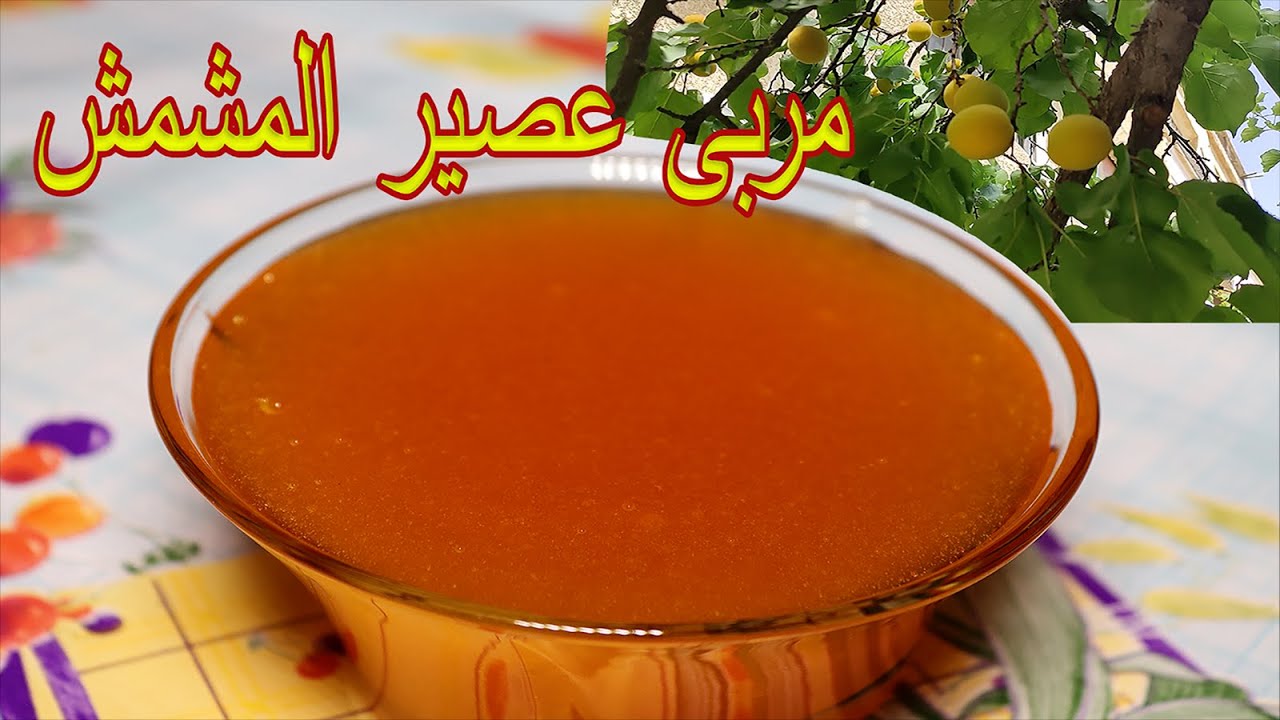 مربى مشمش تعلم كيفية تحضير مربى عصير المشمش اللذيذ في المنزل طبختنا هيك