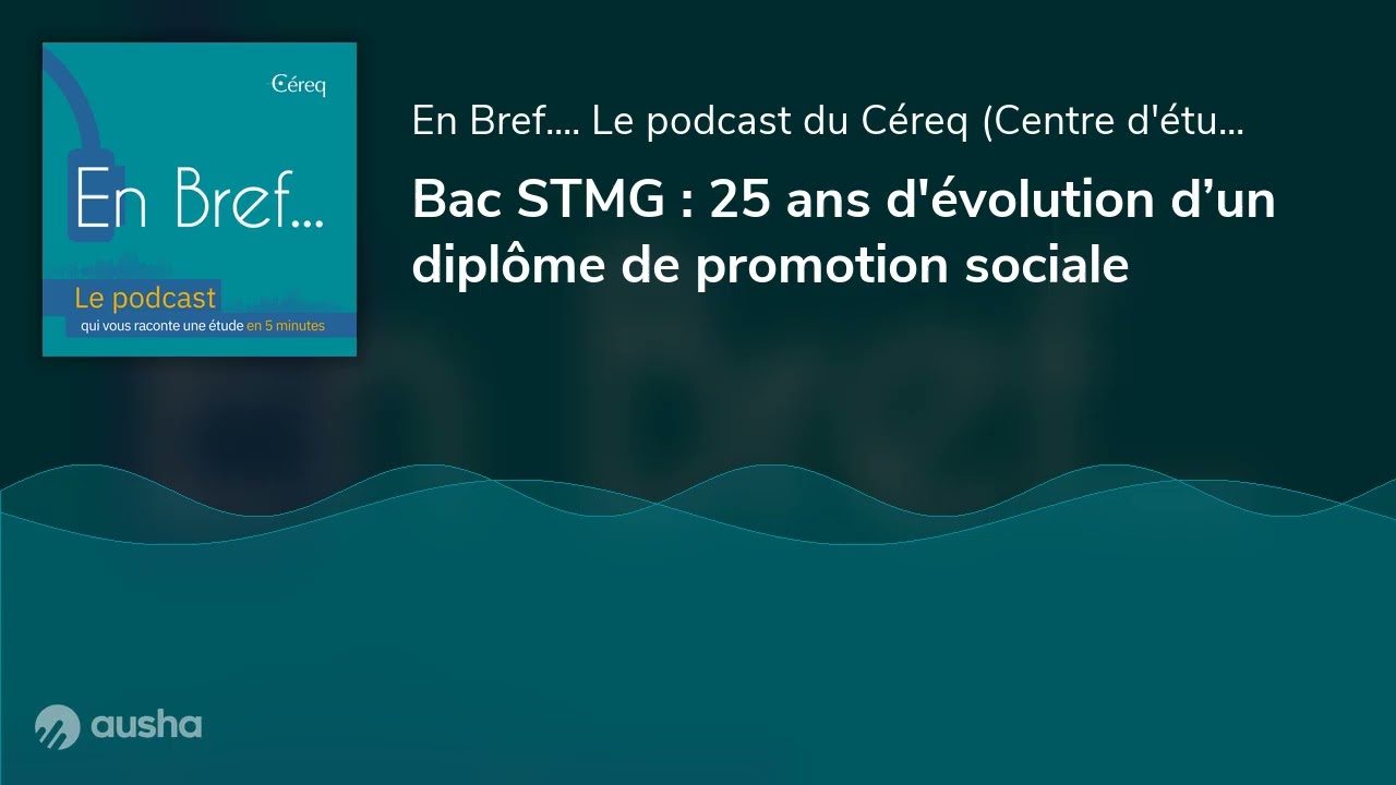 Bac STMG : 25 ans d'évolution d’un diplôme de promotion sociale