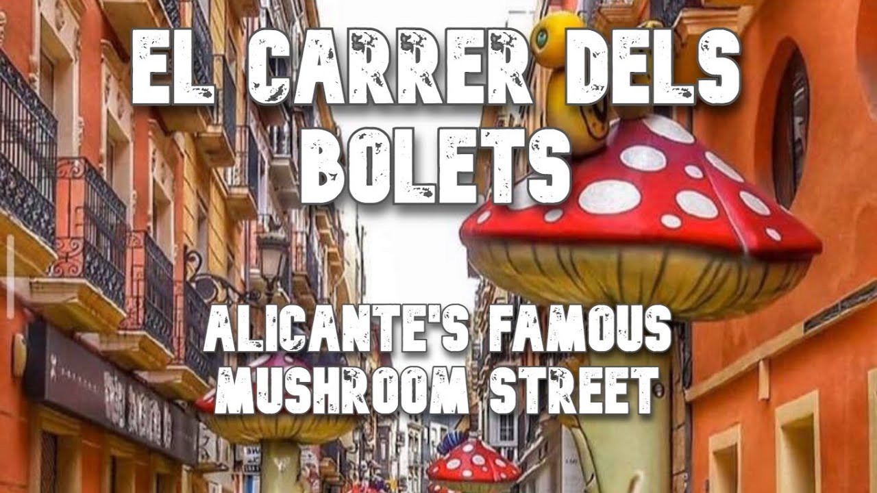 What Makes Alicante's Mushroom Street So Famous And LOVED