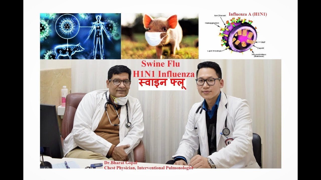 Swine Flu ( स्वाइन फ्लू ) or H1N1 Influenza. All you need to know