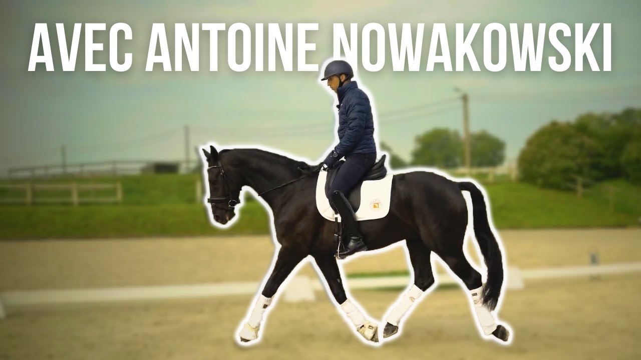 Détente avec un jeune cheval : les conseils d'un cavalier de Grand Prix