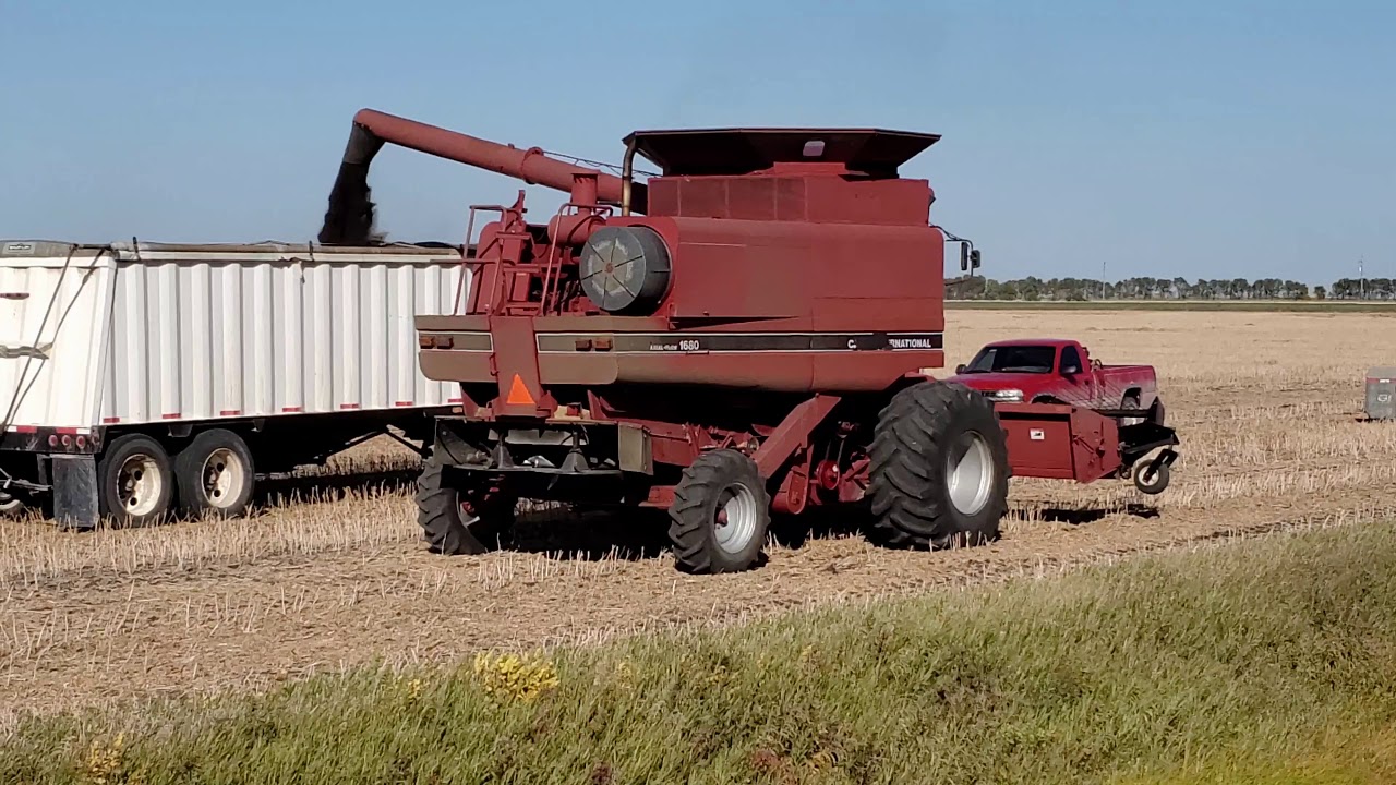 Vintage Combine Harvest Manitoba 2020