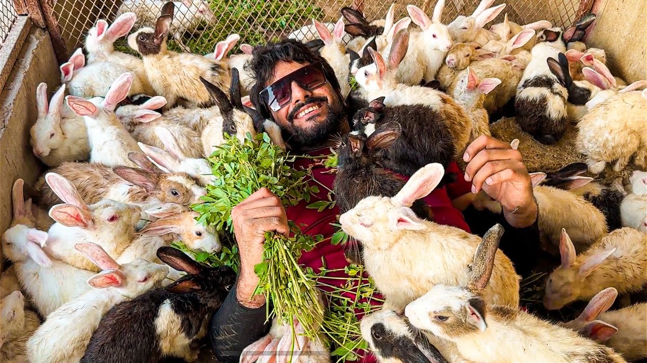 100 RABBITS KHAREED LIE 😍 | PET VLOG | MISHKAT KHAN | THE FUN FIN