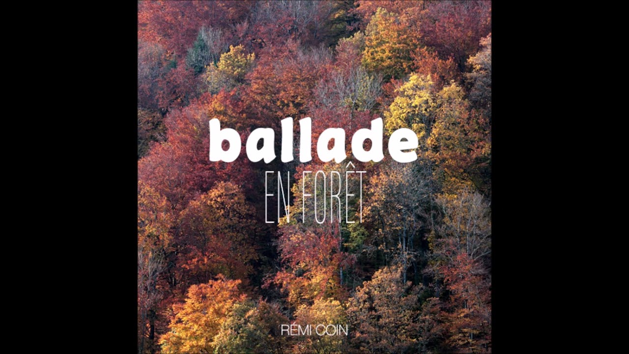 11 BALLADE en forêt