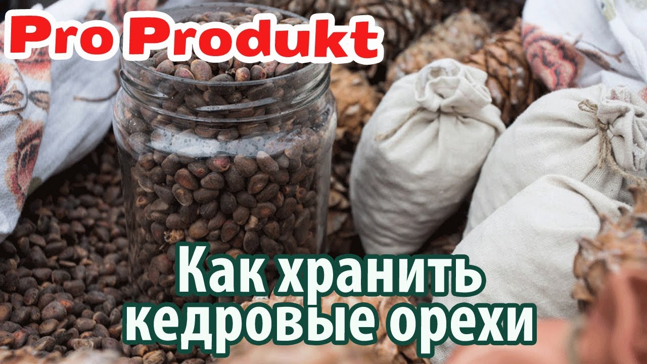 Как хранить кедровые орехи