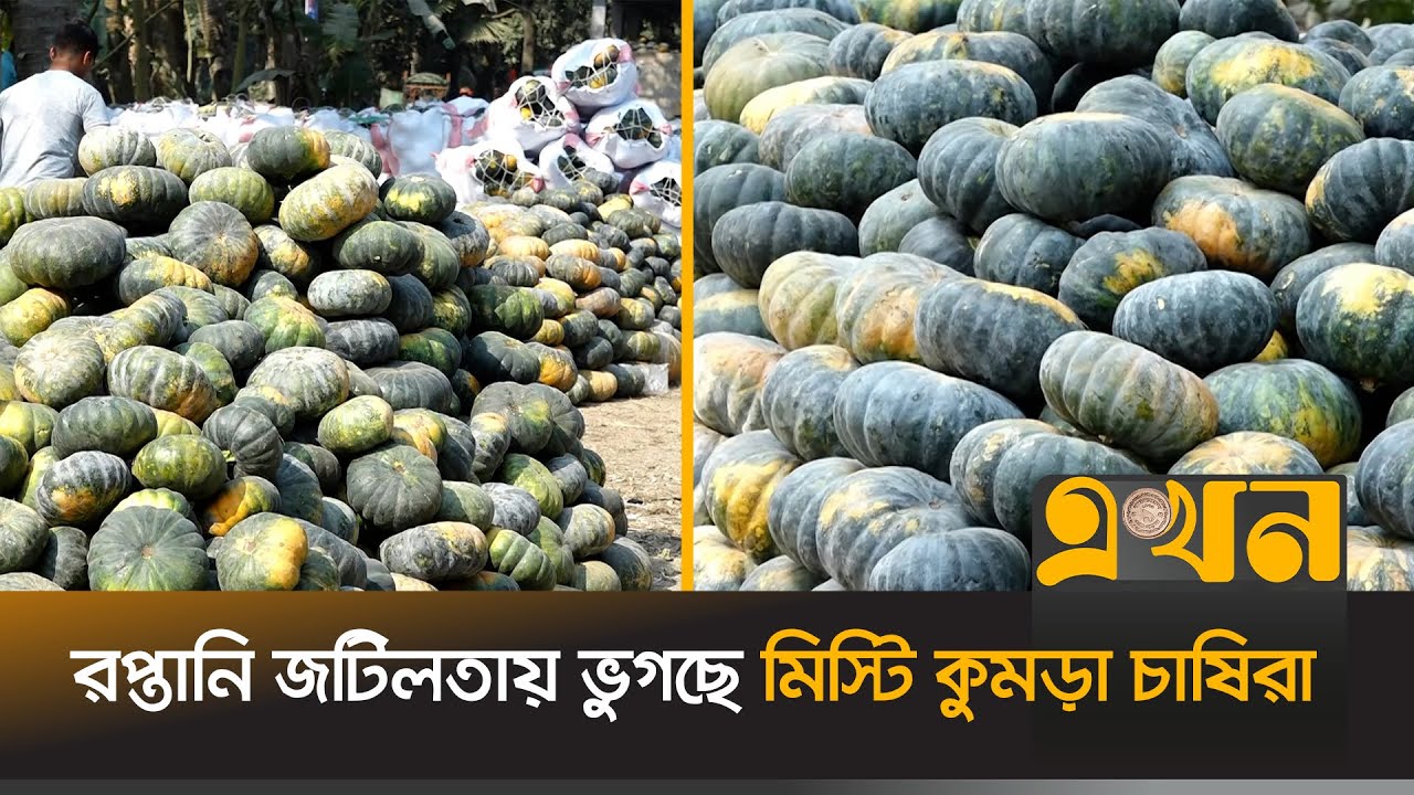 গ্রামীণ বাজারে ক্রেতার অভাব, আর্থিকভাবে ক্ষতিগ্রস্ত কৃষক | Sweet Pumpkin | Export | Chapai | Ekhon