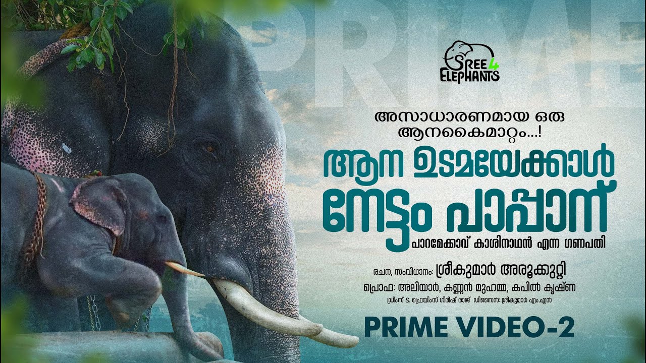 ഇത്രമേൽ സ്നേഹിച്ചിട്ടും എന്തിന് ജോസേട്ടൻ ഗണപതിയെ കൈവിട്ടു.?തന്റെ പങ്കിലും ഏറെ പാപ്പാന് നൽകിയ ആനയുടമ?