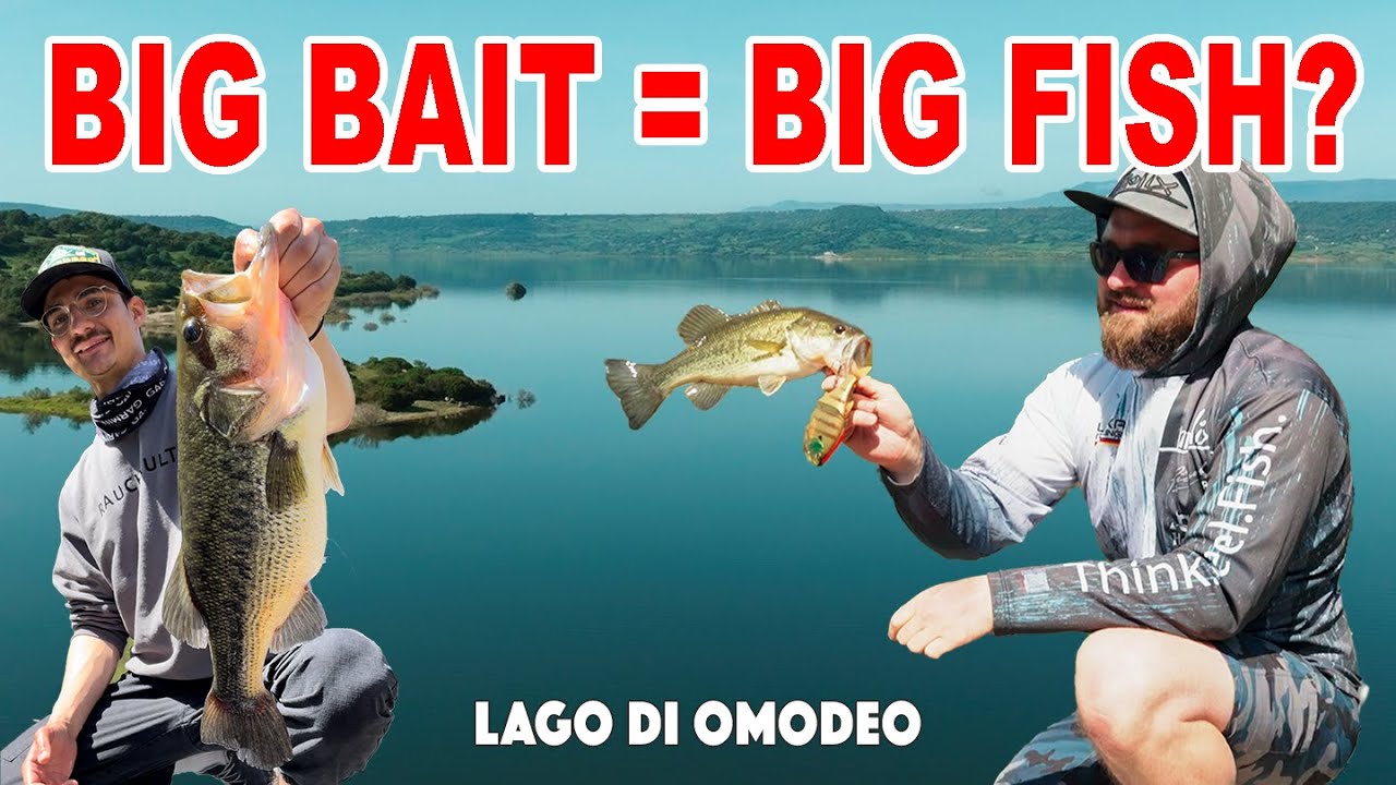 Gro&szlig;e K&ouml;der gro&szlig;e Fische? Mit Swimbaits auf Schwarzbarsch in Sardinien. Lago di Omodeo