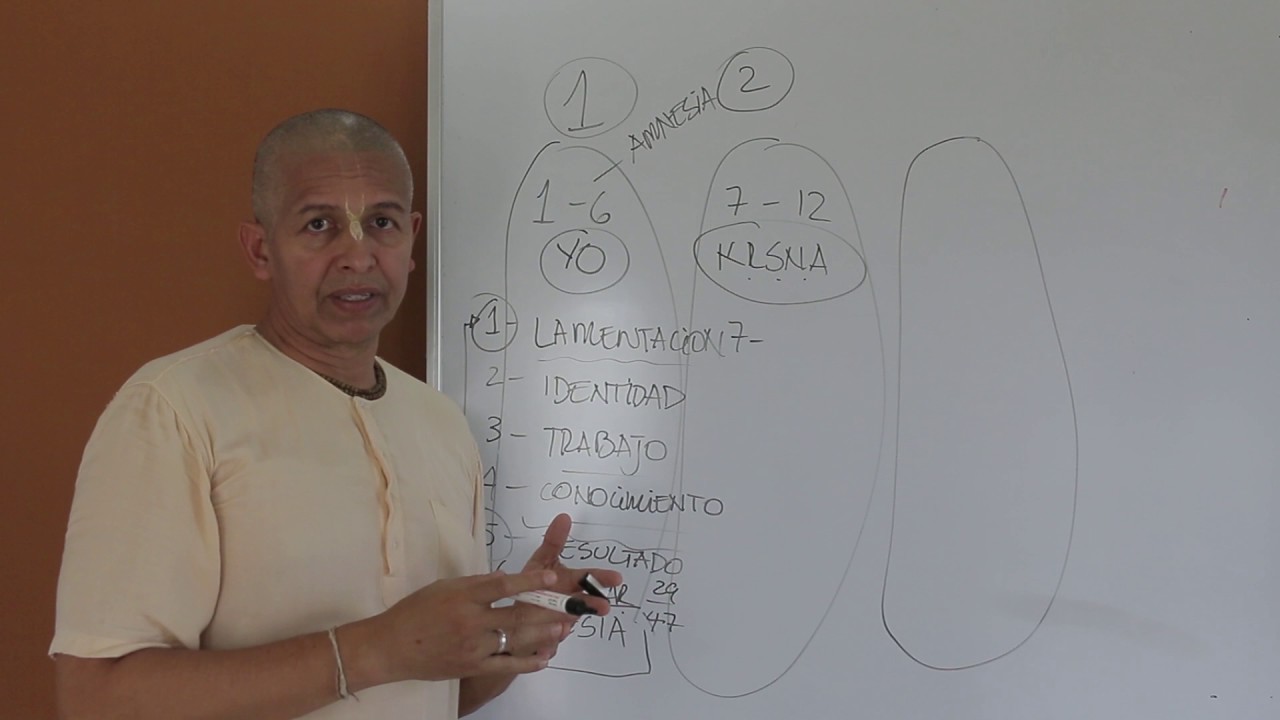 GITA AL ALCANCE DE TODOS - RESUMEN EN 30 MINUTOS