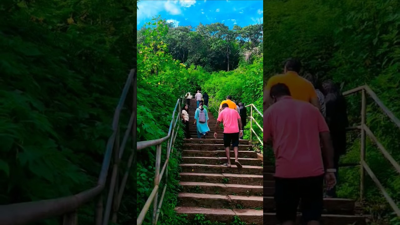 ⭐ Manjarabad Fort |Sakleshpur Hilltop View #shorts #viral #travel #ManjarabadFort #ytshorts #green