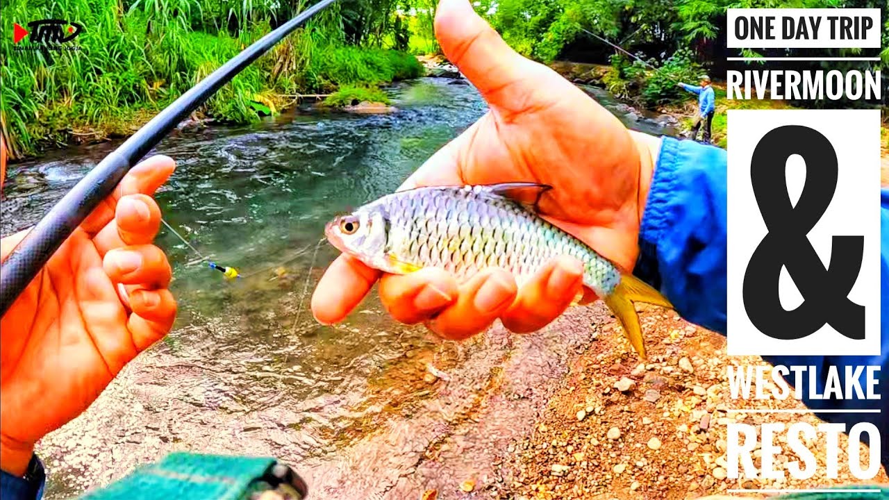 Ikan pertama di 2026 