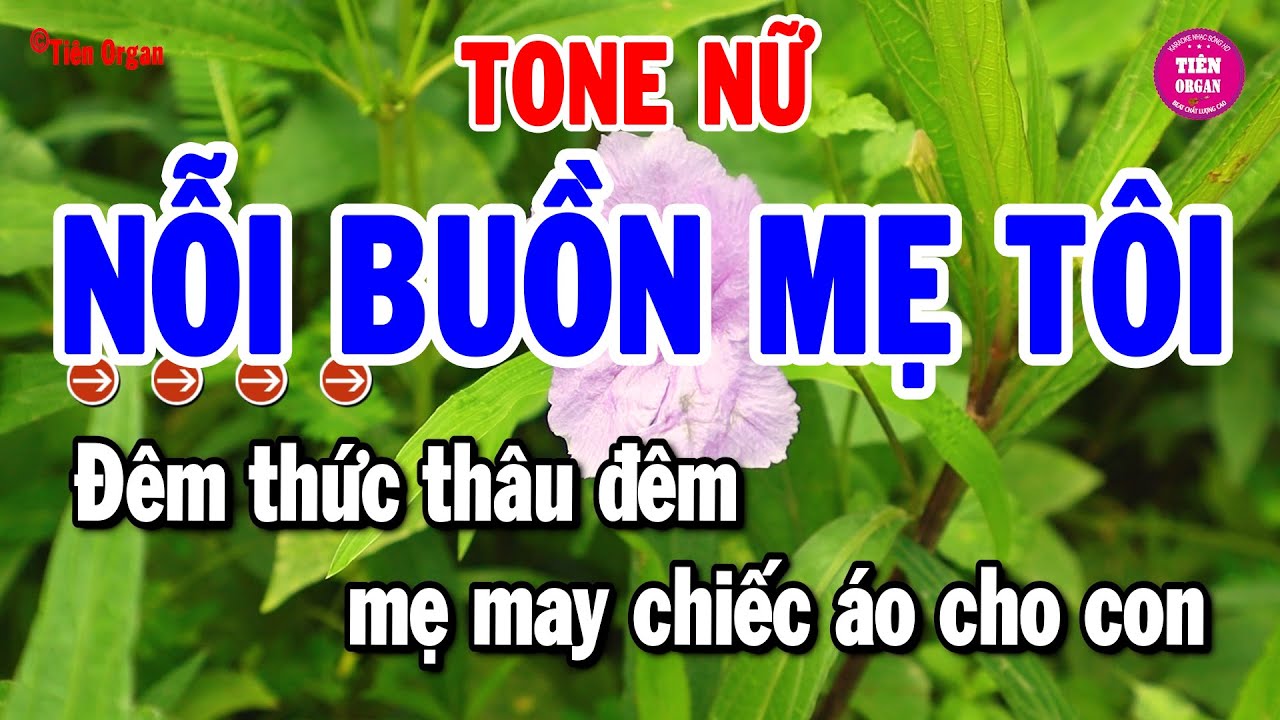 Nỗi Buồn Mẹ Tôi Karaoke Tone Nữ - Beat Chuẩn Chất Lượng Cao | Tiên Organ