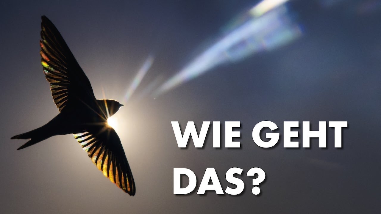 Highlights 2023 - Bildideen, how-to und Inspiration | Naturfotografie