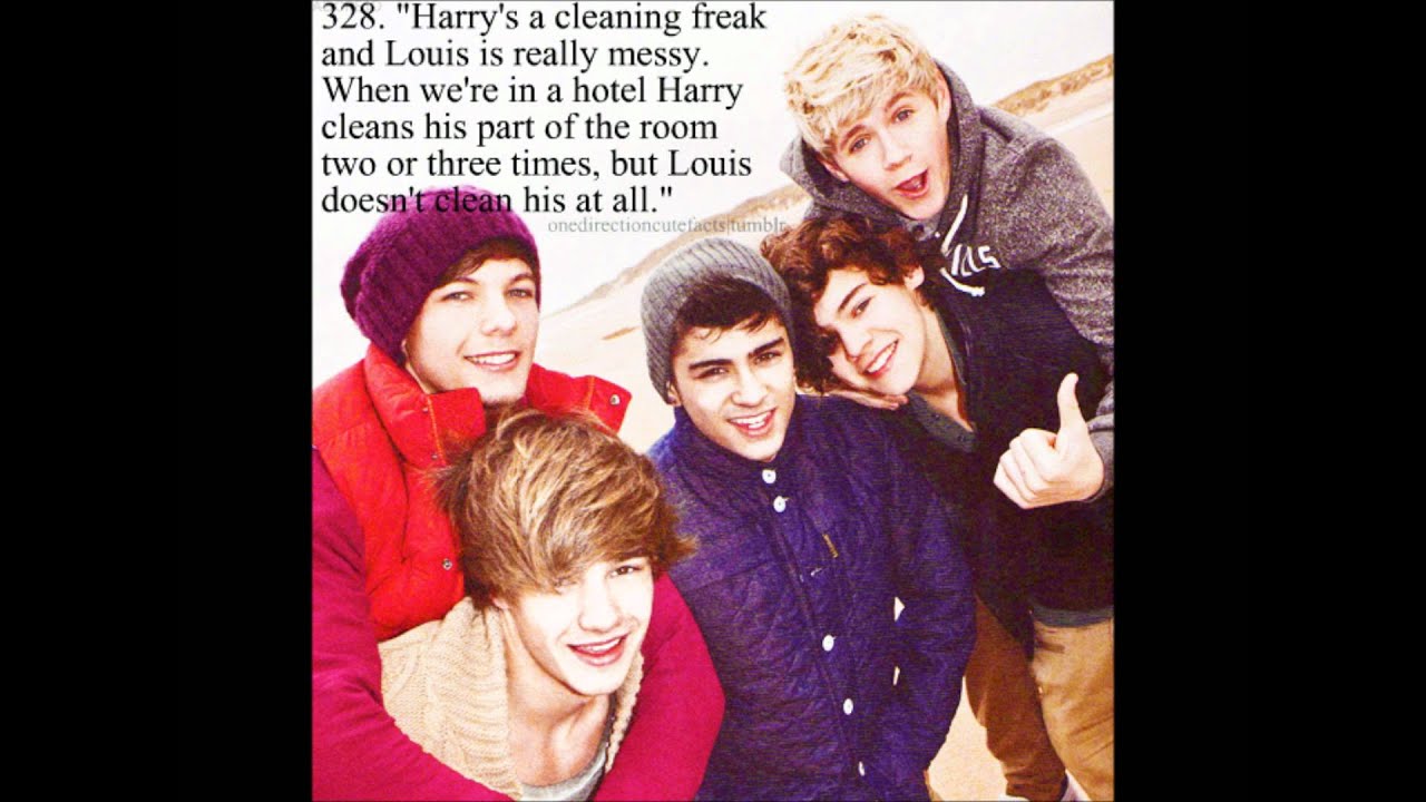 Interesting Facts About Harry Styles