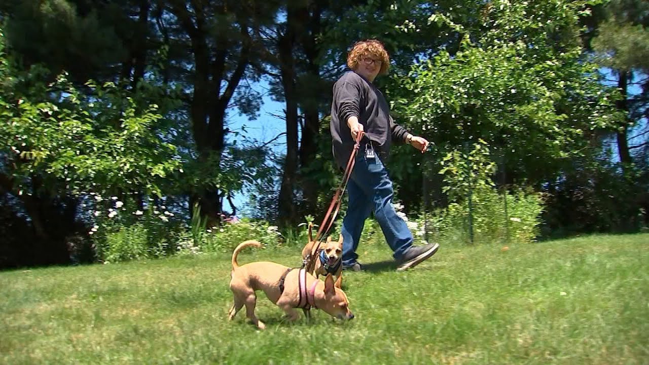 Proposed pet limit has some West Mifflin residents outraged, concerned