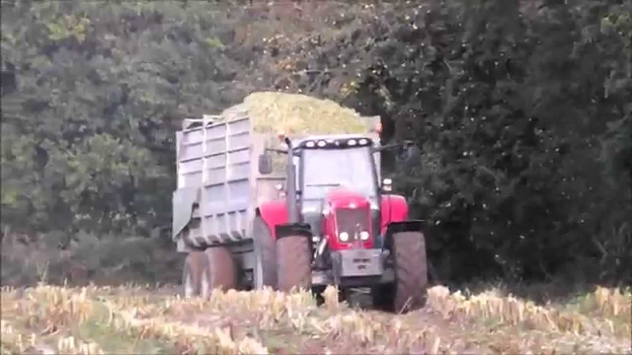 Ensilage Mais 2015 - Bretagne