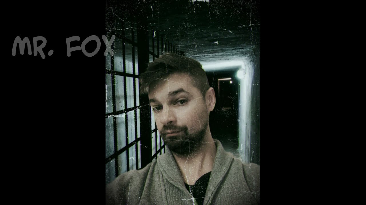 Mr. Fox - От парадокс