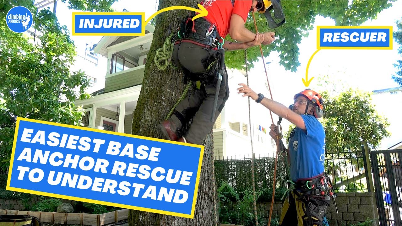 Lowerable base anchor for tree climber rescue