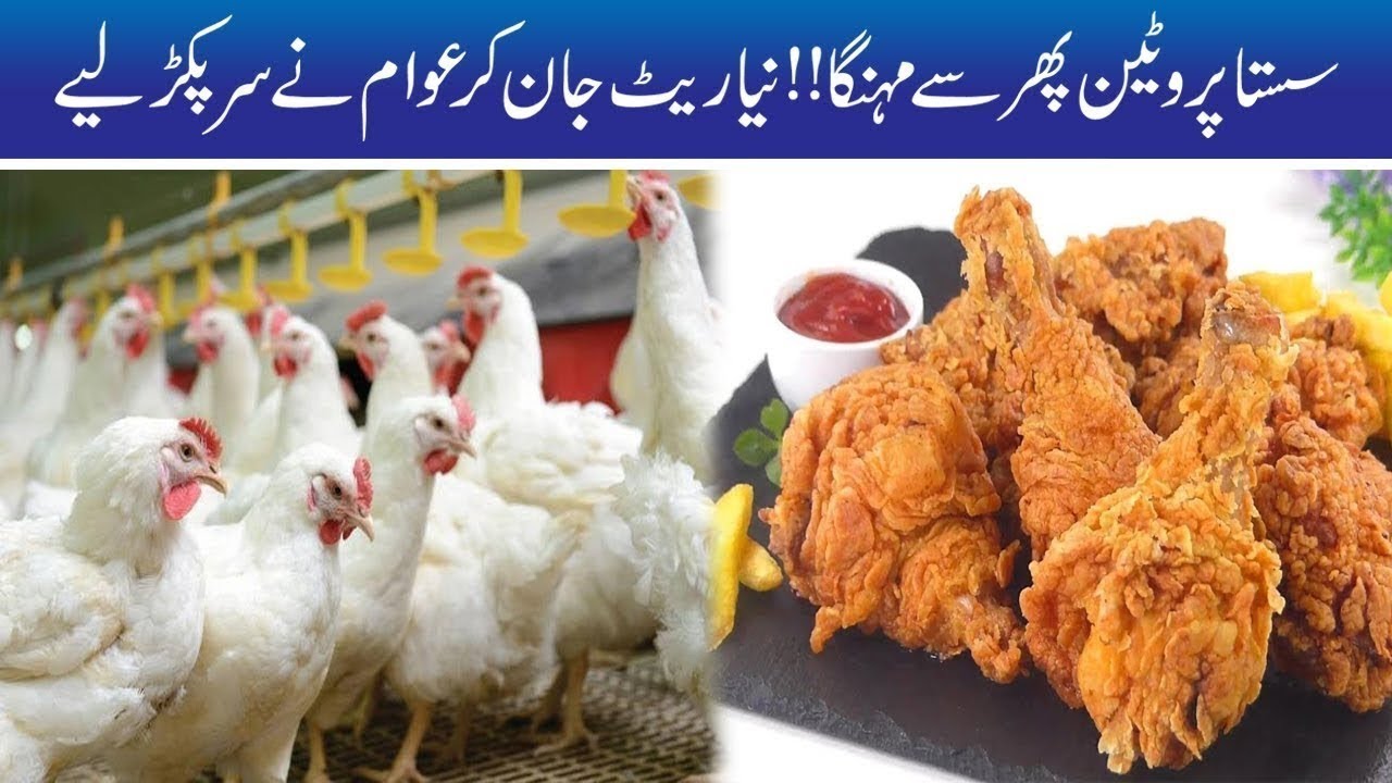 Chicken Prices Increase Again, New Rates?