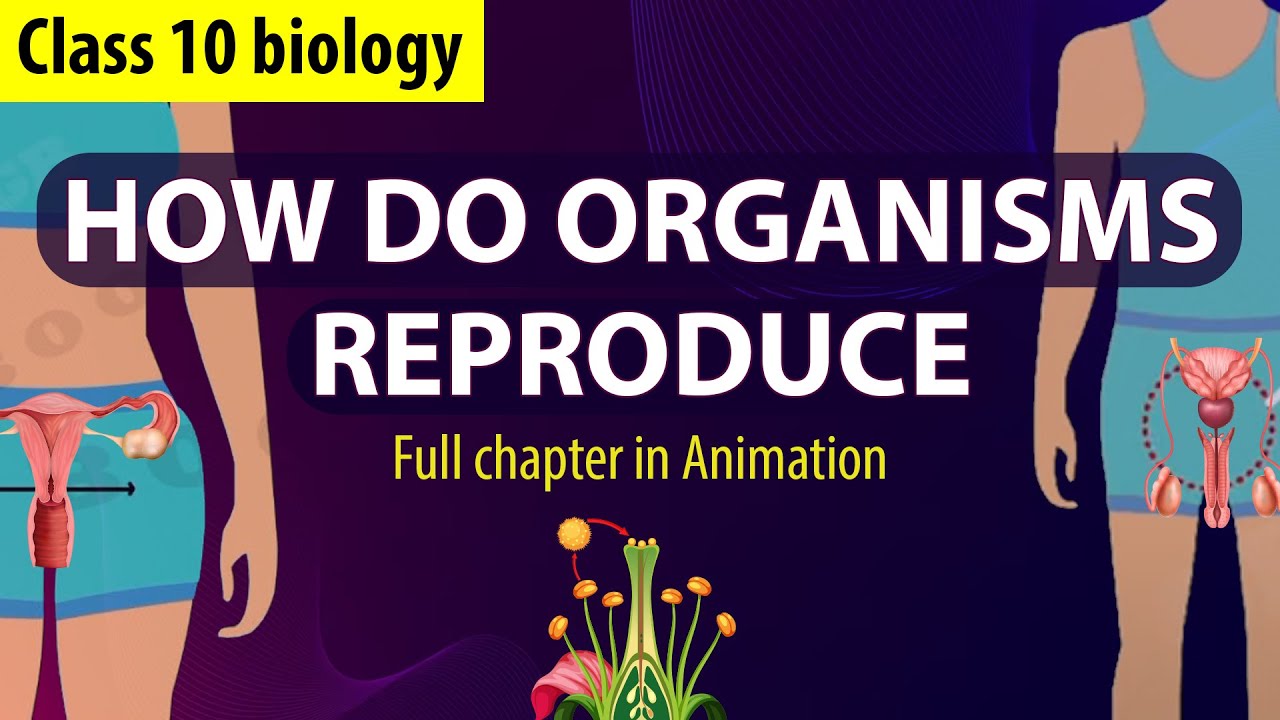How Do Organisms Reproduce Complete Chapter🔥 in Animation |Class 10th Science CH-6| NCERT covered