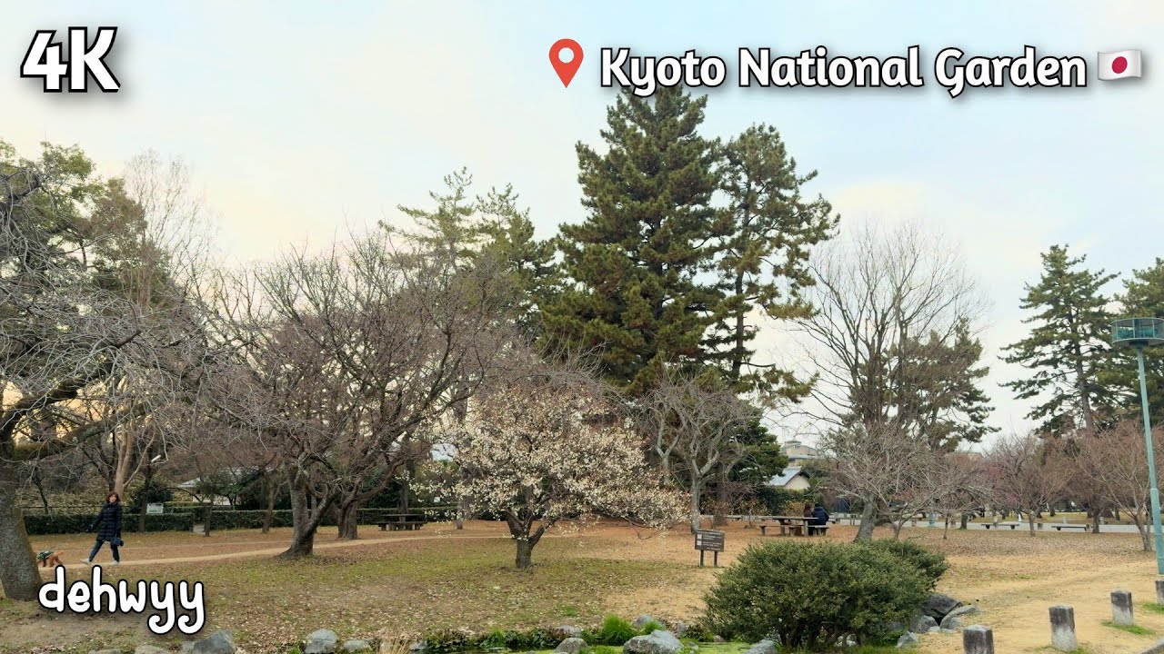 🇯🇵 Kyoto, Japan • Kyoto National Garden  • Winter Evening Walk • 4K • 60 FPS