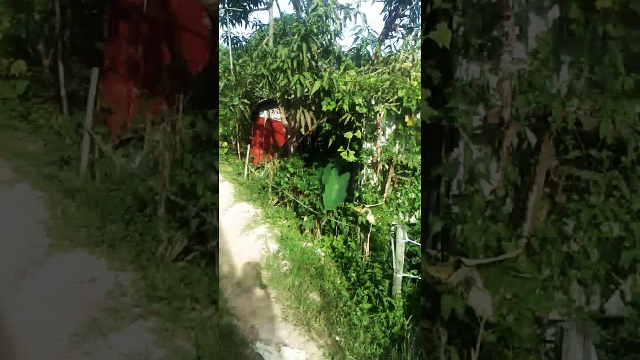 Jalan rosak