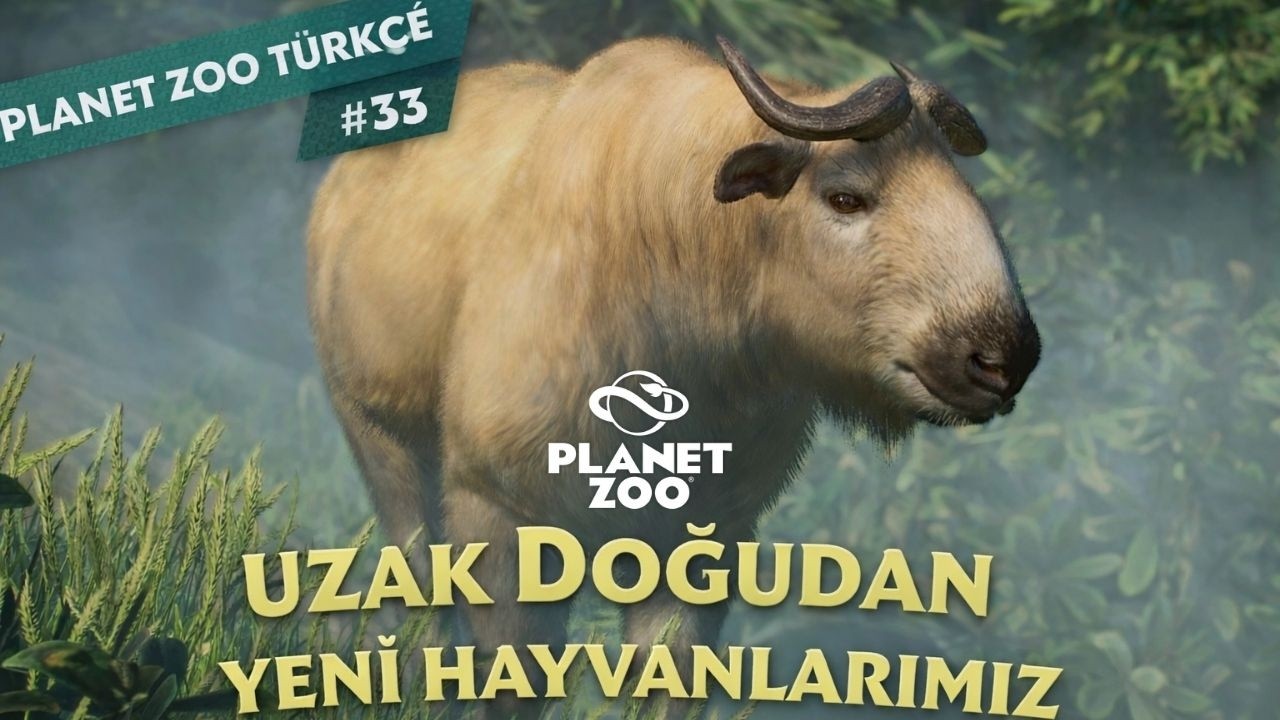 UZAK DOĞUDAN YENİ HAYVANLARIMIZ | PLANET ZOO TÜRKÇE #33