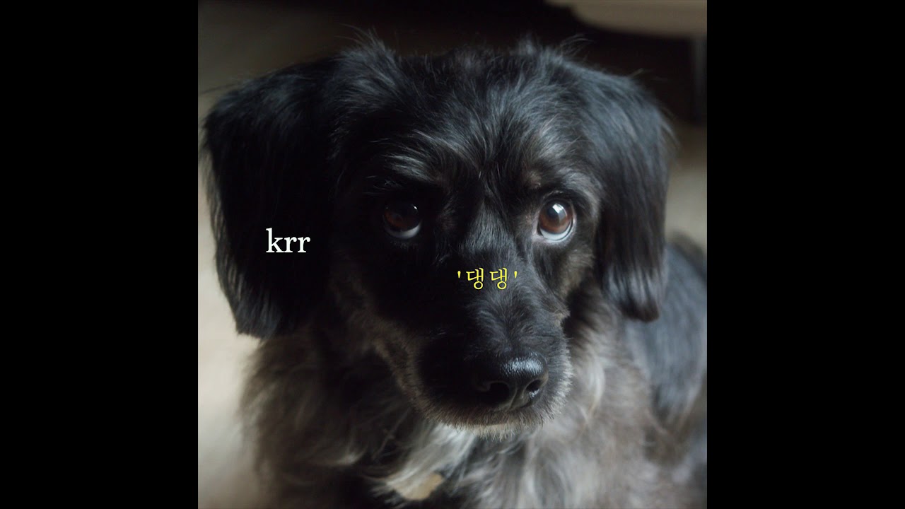 (Audio) 크르르 (krr) - 댕댕 _ Pepper