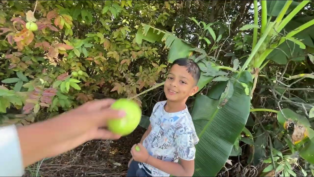 Aaj khet par ye kya dikh gya 😳😱🫣#vlogfeed #vlogviral #villagerlifestyle #villagevlog 
