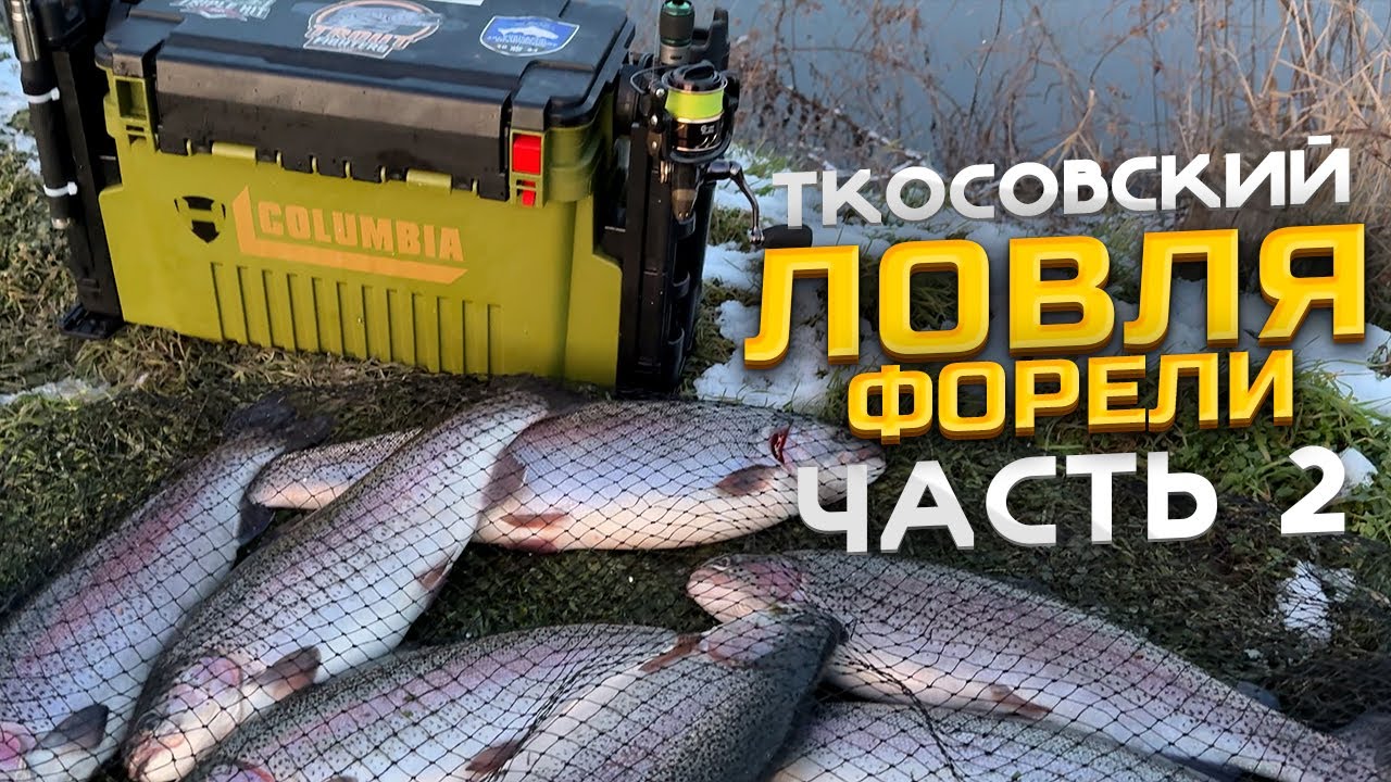 ЛОВЛЯ ФОРЕЛИ НА БЕЗЛИМИТЕ! 