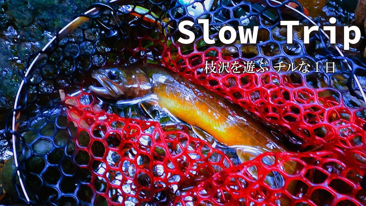 Slow Trip / 枝沢を遊ぶチルな1日