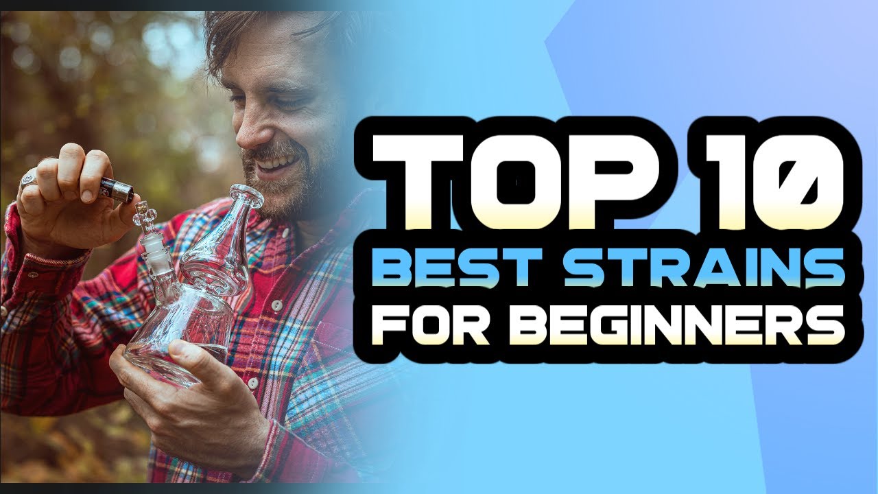 Top 10 Strains for Beginners: Your Ultimate Guide to Cannabis