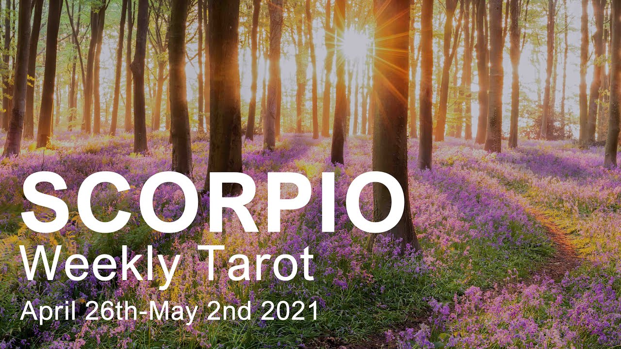 SCORPIO WEEKLY TAROT 