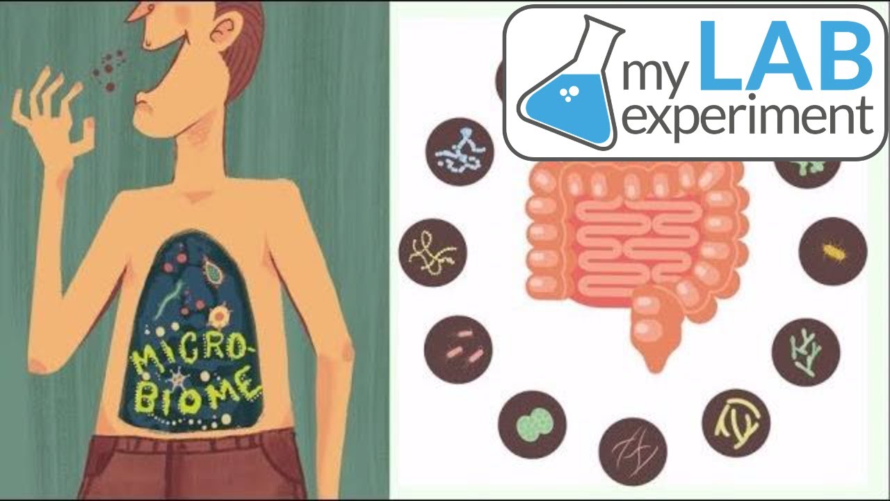 MICROBIOMA intestinale, nuova frontiera per conoscere il corpo
