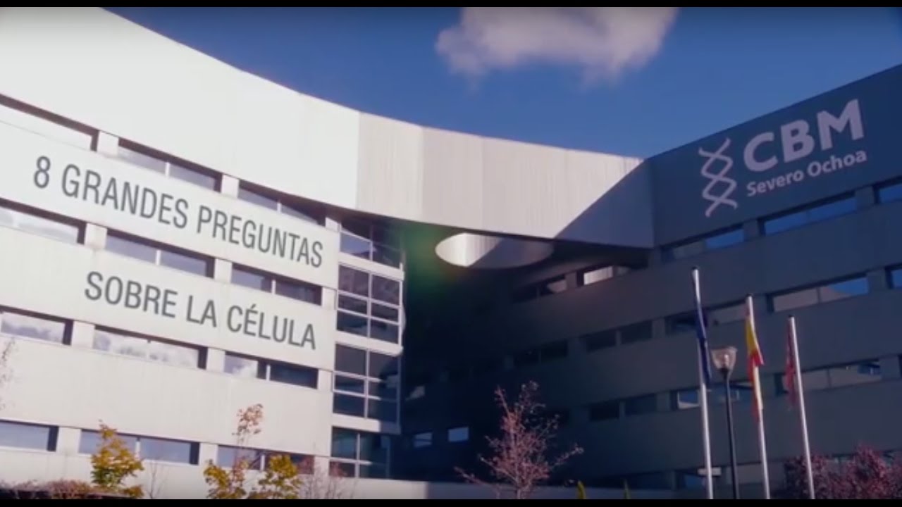 Documental 