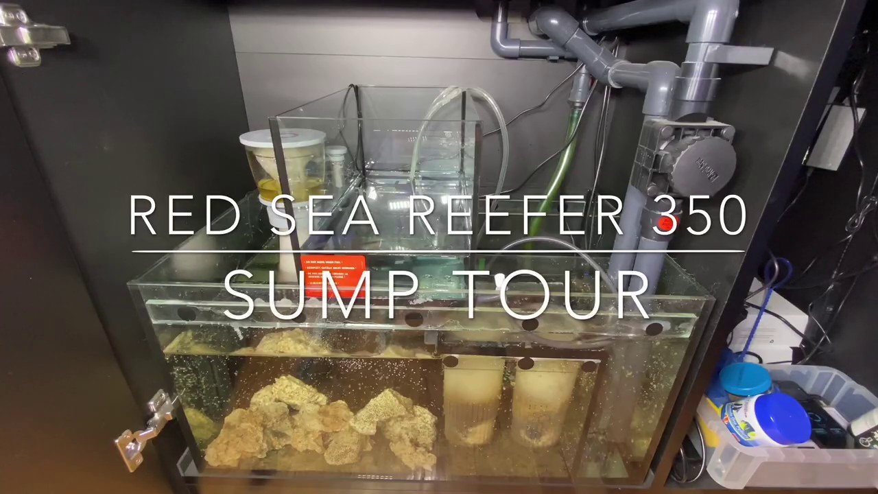 Red Sea Reefer 350: Sump Setup and Tour