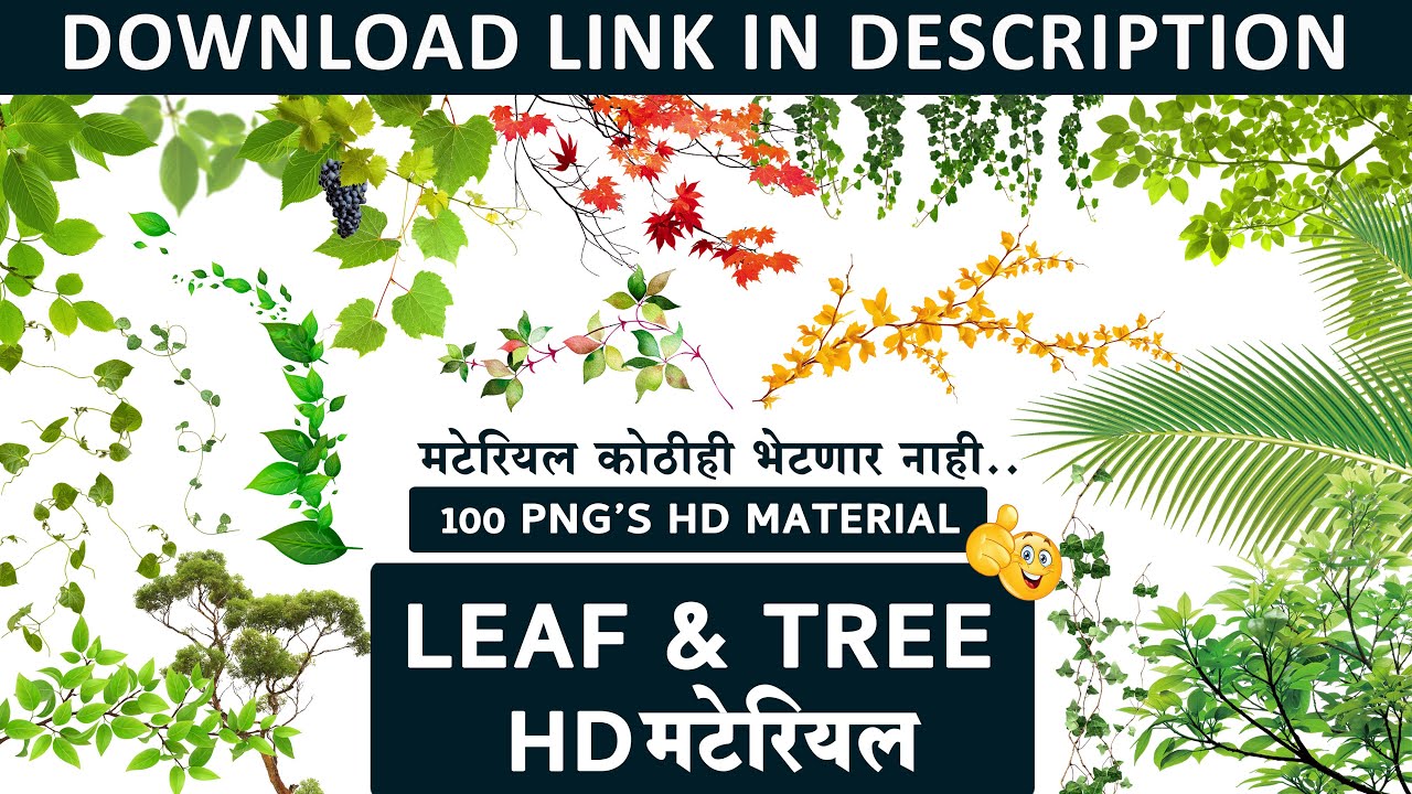 Tree Green Branches PNG | Leafs PNG Files Download | Green Branches