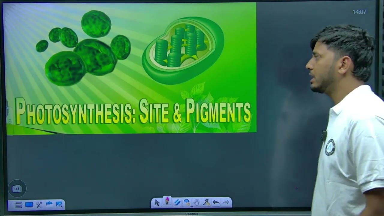 Day:-15 Photosynthesis in higher plants #neet2026 #archlearning #biology #rohirsir