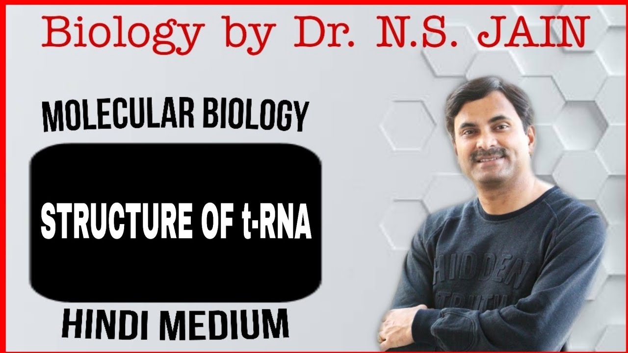 Structure of t-RNA (Molecular Biology) | Hindi Medium